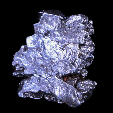 Campo Del Cielo Meteorite Specimen Riker Display Argentina Meteorites 12.4 Grams - Fossil Age Minerals