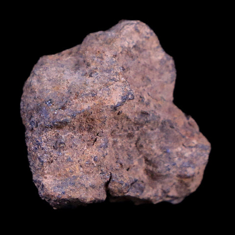Vaca Muerta Meteorite Riker Display Taltal Antofagasta, Chile Found 1861 6.4 Grams - Fossil Age Minerals