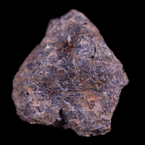 Vaca Muerta Meteorite Riker Display Taltal Antofagasta, Chile Found 1861 6.4 Grams - Fossil Age Minerals