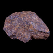 Vaca Muerta Meteorite Riker Display Taltal Antofagasta, Chile Found 1861 7.2 Grams