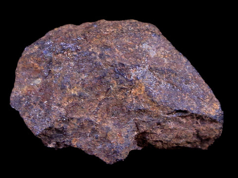 Vaca Muerta Meteorite Riker Display Taltal Antofagasta, Chile Found 1861 7.2 Grams - Fossil Age Minerals