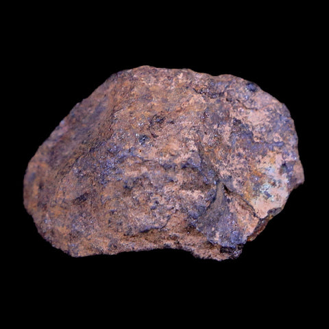 Vaca Muerta Meteorite Riker Display Taltal Antofagasta, Chile Found 1861 7.2 Grams - Fossil Age Minerals