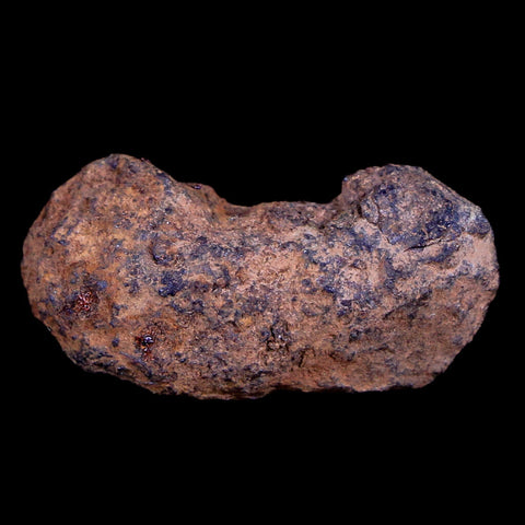 Vaca Muerta Meteorite Riker Display Taltal Antofagasta, Chile Found 1861 9.2 Grams - Fossil Age Minerals