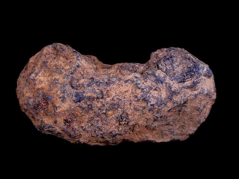 Vaca Muerta Meteorite Riker Display Taltal Antofagasta, Chile Found 1861 9.2 Grams - Fossil Age Minerals