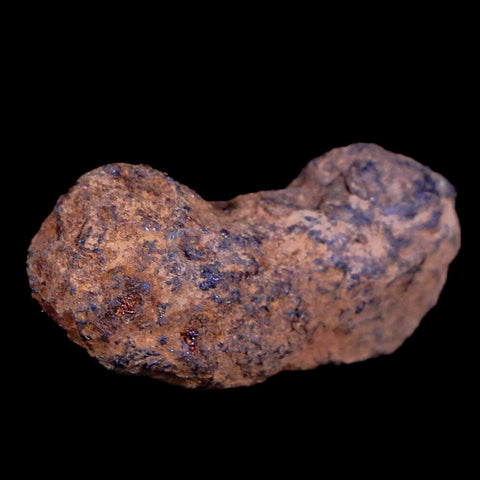 Vaca Muerta Meteorite Riker Display Taltal Antofagasta, Chile Found 1861 9.2 Grams - Fossil Age Minerals