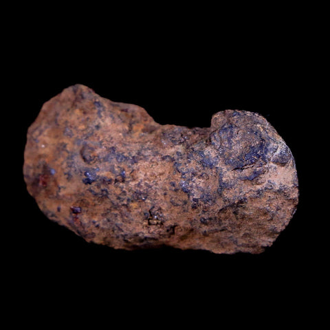 Vaca Muerta Meteorite Riker Display Taltal Antofagasta, Chile Found 1861 9.2 Grams - Fossil Age Minerals