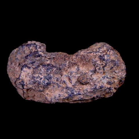Vaca Muerta Meteorite Riker Display Taltal Antofagasta, Chile Found 1861 9.2 Grams - Fossil Age Minerals