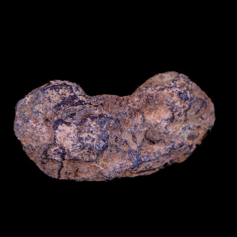 Vaca Muerta Meteorite Riker Display Taltal Antofagasta, Chile Found 1861 9.2 Grams - Fossil Age Minerals