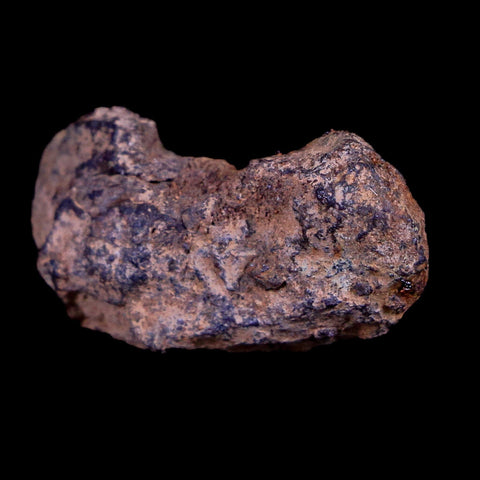 Vaca Muerta Meteorite Riker Display Taltal Antofagasta, Chile Found 1861 9.2 Grams - Fossil Age Minerals