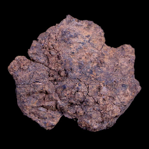 Vaca Muerta Meteorite Riker Display Taltal Antofagasta, Chile Found 1861 2.4 Grams - Fossil Age Minerals