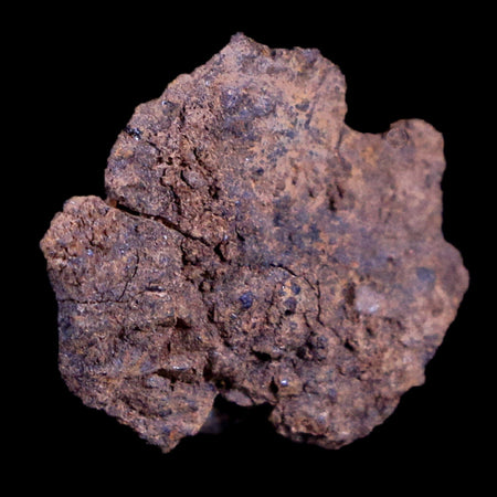 Vaca Muerta Meteorite Riker Display Taltal Antofagasta, Chile Found 1861 2.4 Grams