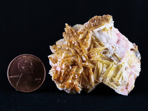 1.7" Red Vanadinite Crystals Yellow, White Barite Blades Mineral Morocco 1.5 OZ - Fossil Age Minerals