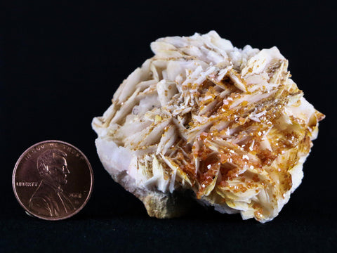 2.1" Sparkly Red Vanadinite Crystals White Barite Blades Mineral Morocco 3.8 OZ - Fossil Age Minerals