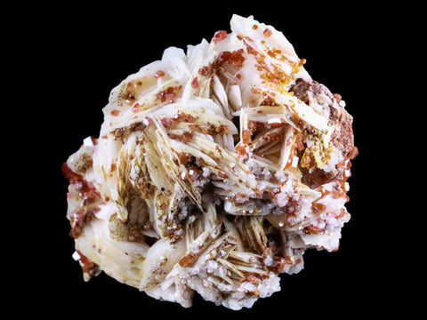 2.7" Sparkly Red Vanadinite Crystals White Barite Blades Mineral Morocco 5.9 OZ - Fossil Age Minerals