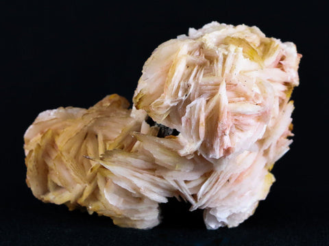 3.1" Pink, Yellow Barite Blades Crystal Mineral Specimen Morocco 6.9 OZ - Fossil Age Minerals