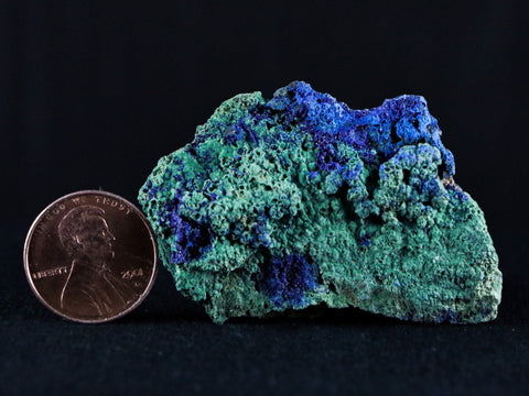 1.8" Azurite Crystals & Malachite On Matrix Mineral Specimen Morocco 1 OZ - Fossil Age Minerals