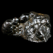 2.7" Hematite Botryoidal Kidney Ore Rock Mineral Specimen Irhoud Mine, Morocco