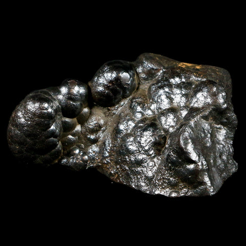 2.7" Hematite Botryoidal Kidney Ore Rock Mineral Specimen Irhoud Mine, Morocco - Fossil Age Minerals