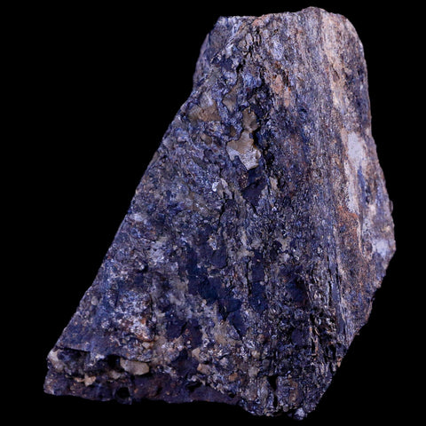 3.1" Ankylosaurus Fossil Femur Bone Lance Creek FM Cretaceous Dinosaur WY COA - Fossil Age Minerals