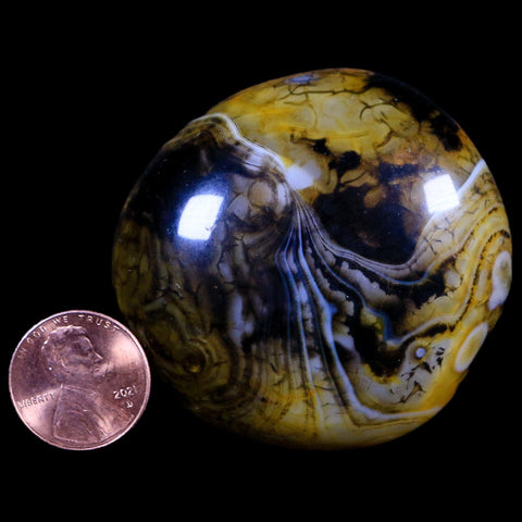 2.1" Polished Yellow Silk Banded Agate Chalcedony Mineral Palm Stone 3.8 OZ - Fossil Age Minerals
