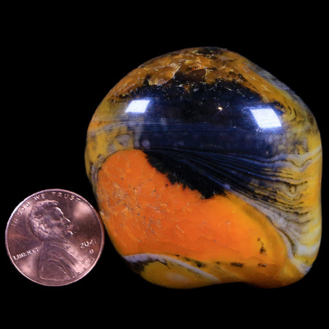 1.9" Polished Yellow Silk Banded Agate Chalcedony Palm Stone Mineral 2.7 OZ - Fossil Age Minerals