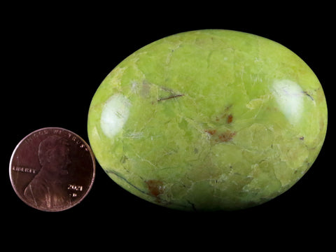 2.1" Natural Polished Green Opal Palm Stone Location Madagascar Healing - Fossil Age Minerals