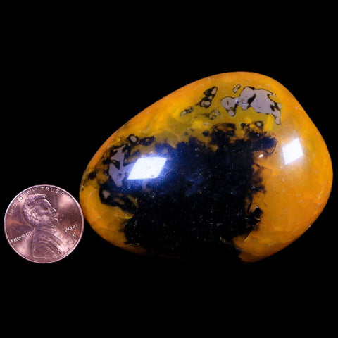 2.4" Polished Yellow Silk Banded Agate Chalcedony Mineral Palm Stone 3.9 OZ - Fossil Age Minerals