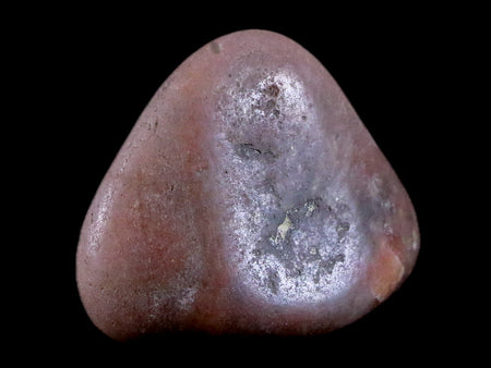 1.7" Sauropod Dinosaur Stomach Stone Gastrolith Rock Gizzard Stone 1.1 OZ COA