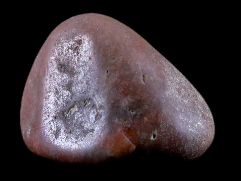 1.7" Sauropod Dinosaur Stomach Stone Gastrolith Rock Gizzard Stone 1.1 OZ COA - Fossil Age Minerals