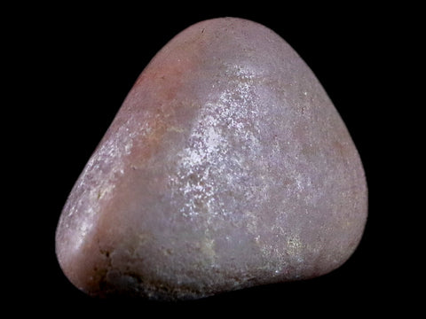 1.7" Sauropod Dinosaur Stomach Stone Gastrolith Rock Gizzard Stone 1.1 OZ COA - Fossil Age Minerals