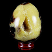 58MM Septarian Dragon Stone Vug Egg Mineral Healing Specimen Madagascar Stand
