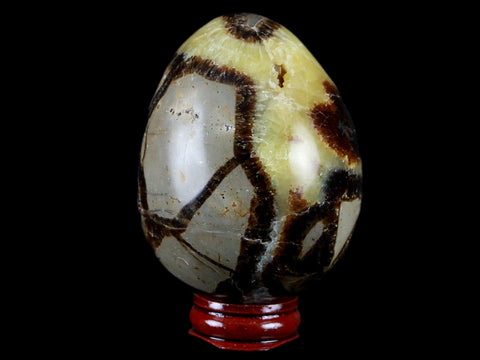 58MM Septarian Dragon Stone Vug Egg Mineral Healing Specimen Madagascar Stand - Fossil Age Minerals
