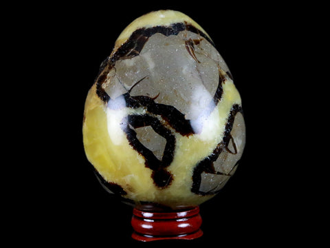 XL 65MM Septarian Dragon Stone Egg Mineral Healing Specimen Madagascar Stand - Fossil Age Minerals