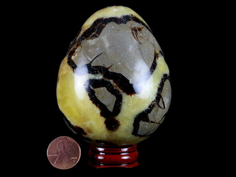 XL 65MM Septarian Dragon Stone Egg Mineral Healing Specimen Madagascar Stand - Fossil Age Minerals