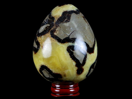 XL 65MM Septarian Dragon Stone Egg Mineral Healing Specimen Madagascar Stand
