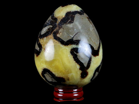 XL 65MM Septarian Dragon Stone Egg Mineral Healing Specimen Madagascar Stand - Fossil Age Minerals