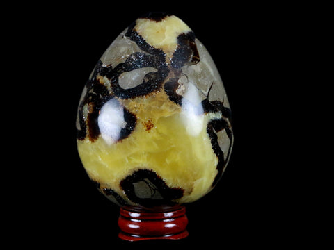 XL 65MM Septarian Dragon Stone Egg Mineral Healing Specimen Madagascar Stand - Fossil Age Minerals
