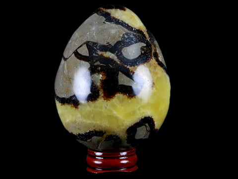 XL 65MM Septarian Dragon Stone Egg Mineral Healing Specimen Madagascar Stand - Fossil Age Minerals