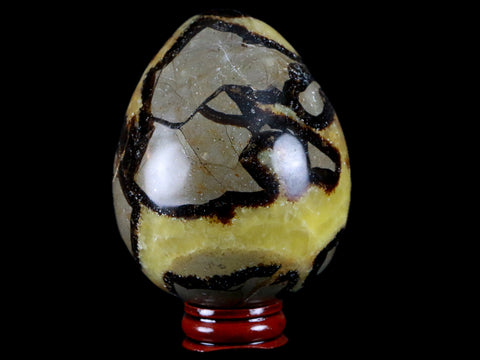 XL 65MM Septarian Dragon Stone Egg Mineral Healing Specimen Madagascar Stand - Fossil Age Minerals