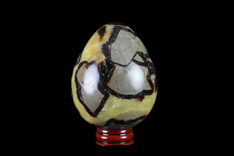 XL 65MM Septarian Dragon Stone Egg Mineral Healing Specimen Madagascar Stand - Fossil Age Minerals