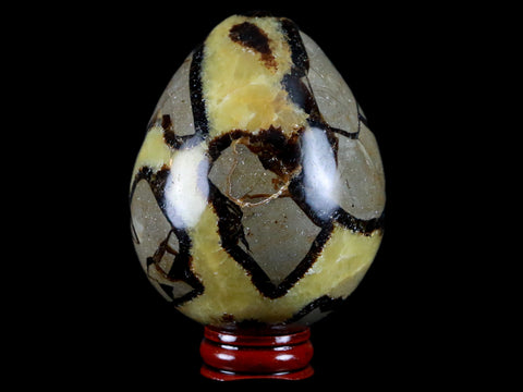 XL 65MM Septarian Dragon Stone Egg Mineral Healing Specimen Madagascar Stand - Fossil Age Minerals