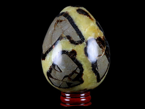XL 65MM Septarian Dragon Stone Egg Mineral Healing Specimen Madagascar Stand - Fossil Age Minerals