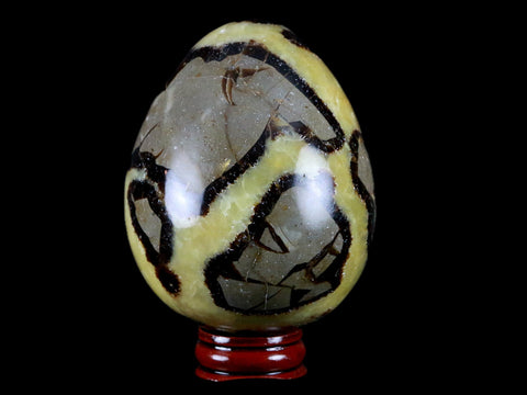 XL 65MM Septarian Dragon Stone Egg Mineral Healing Specimen Madagascar Stand - Fossil Age Minerals