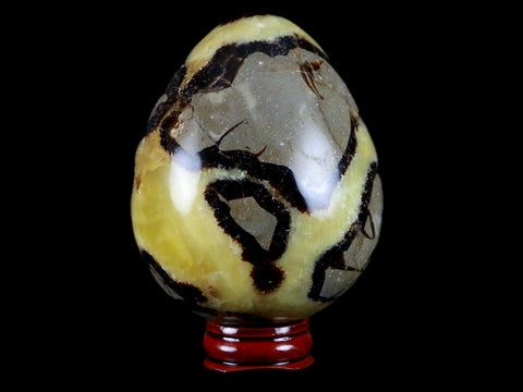 XL 65MM Septarian Dragon Stone Egg Mineral Healing Specimen Madagascar Stand - Fossil Age Minerals
