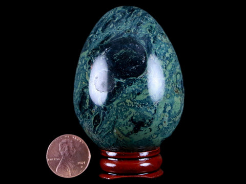 4.7MM Green Eye Kambaba Jasper Egg Stromatolite Algae Fossil Peacock Stand - Fossil Age Minerals