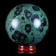 XL 68MM Green Eye Kambaba Jasper Sphere Stromatolite Algae Fossil Peacock Stand