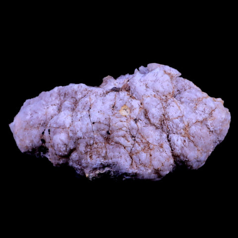 3.4" Pink Amethyst Geode Half Crystal Cluster El Chioque Mine Patagonia Argentina - Fossil Age Minerals