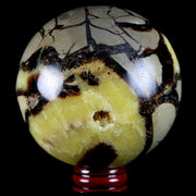 XXL 84MM Septarian Dragon Stone Vug Sphere Mineral Healing Madagascar Stand