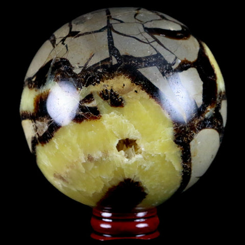 XXL 84MM Septarian Dragon Stone Vug Sphere Mineral Healing Madagascar Stand - Fossil Age Minerals