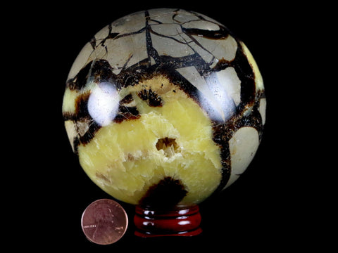 XXL 84MM Septarian Dragon Stone Vug Sphere Mineral Healing Madagascar Stand - Fossil Age Minerals